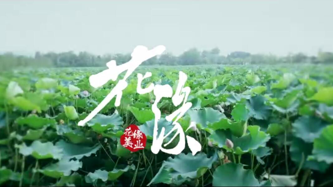 【主題曲】一生摯愛，與花結緣《花緣》MP3